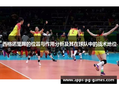 西格诺里踢的位置与作用分析及其在球队中的战术地位