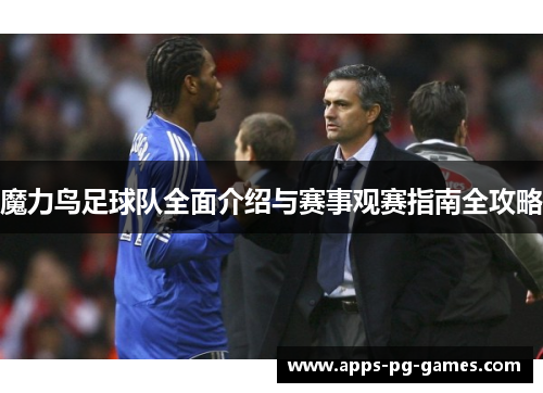 魔力鸟足球队全面介绍与赛事观赛指南全攻略
