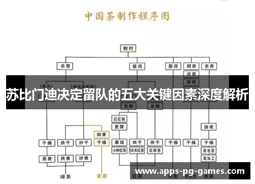 苏比门迪决定留队的五大关键因素深度解析