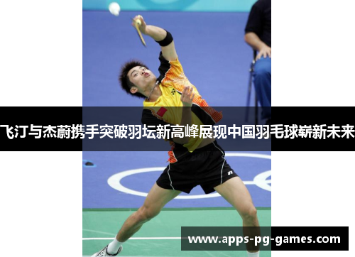 飞汀与杰蔚携手突破羽坛新高峰展现中国羽毛球崭新未来
