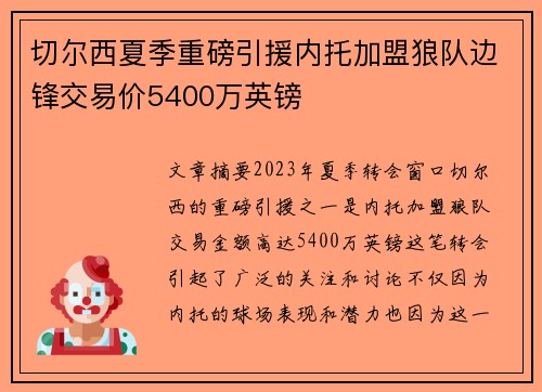 切尔西夏季重磅引援内托加盟狼队边锋交易价5400万英镑